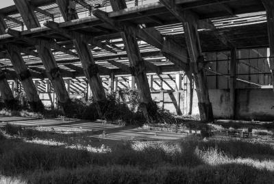MARGHERA 13 04 2013 ARCHEOLOGIA INDUSTRIALE - AGRIMONT