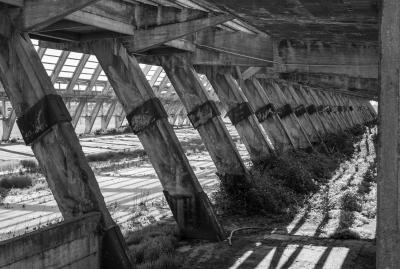 MARGHERA 13 04 2013 ARCHEOLOGIA INDUSTRIALE - AGRIMONT