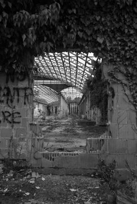 MOGLIANO VENETO 13 03 2013 ARCHEOLOGIA INDUSTRIALE - VENELAND