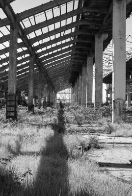 MARGHERA 13 04 2013 ARCHEOLOGIA INDUSTRIALE - AGRIMONT