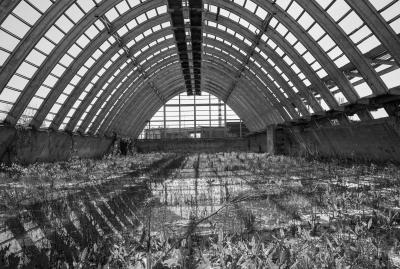 MARGHERA 13 04 2013 ARCHEOLOGIA INDUSTRIALE - AGRIMONT