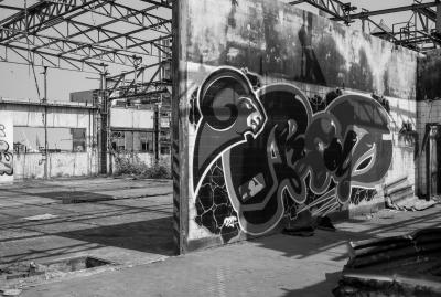 FUSINA 19 03 2013 ARCHEOLOGIA INDUSTRIALE - ALUMIX