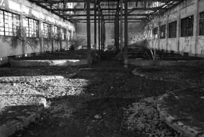 CAGNOLA 23 04 2013 ARCHEOLOGIA INDUSTRIALE - ZUCCHERIFICIO MONTESI