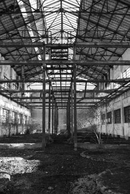 CAGNOLA 23 04 2013 ARCHEOLOGIA INDUSTRIALE - ZUCCHERIFICIO MONTESI