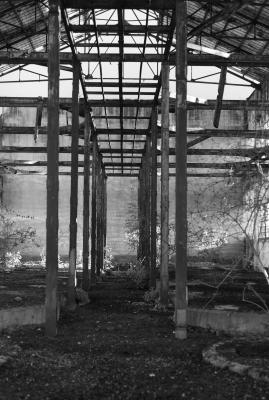 CAGNOLA 23 04 2013 ARCHEOLOGIA INDUSTRIALE - ZUCCHERIFICIO MONTESI