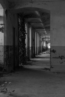 PORDENONE 12 05 2013 ARCHEOLOGIA INDUSTRIALE - COTONIFICIO VENEZIANO