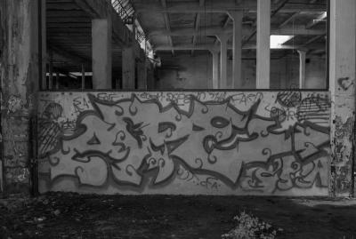 PORDENONE 12 05 2013 ARCHEOLOGIA INDUSTRIALE - COTONIFICIO VENEZIANO