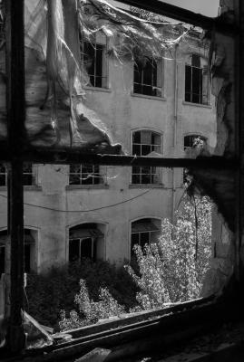 PORDENONE 12 05 2013 ARCHEOLOGIA INDUSTRIALE - COTONIFICIO VENEZIANO