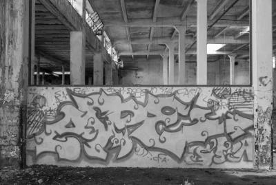 PORDENONE 12 05 2013 ARCHEOLOGIA INDUSTRIALE - COTONIFICIO VENEZIANO