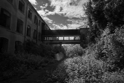 PORDENONE 12 05 2013 ARCHEOLOGIA INDUSTRIALE - COTONIFICIO VENEZIANO