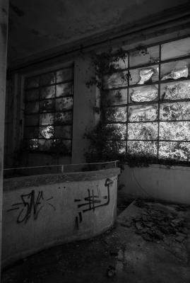 PORDENONE 12 05 2013 ARCHEOLOGIA INDUSTRIALE - COTONIFICIO VENEZIANO