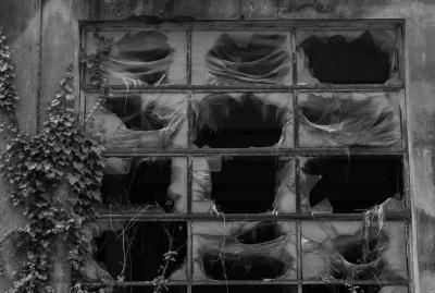 PORDENONE 12 05 2013 ARCHEOLOGIA INDUSTRIALE - COTONIFICIO VENEZIANO