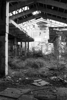 TREVISO 04 06 2013 ARCHEOLOGIA INDUSTRIALE - CHIARI E FORTI