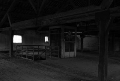 TREVISO 04 06 2013 ARCHEOLOGIA INDUSTRIALE - CHIARI E FORTI