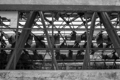 MARGHERA 05 06 2013 ARCHEOLOGIA INDUSTRIALE - MARGHERA UNTITLED