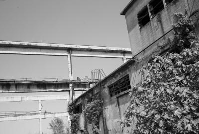 UDINE 13 06 2013 ARCHEOLOGIA INDUSTRIALE - SAFAU