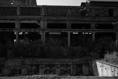 UDINE 13 06 2013 ARCHEOLOGIA INDUSTRIALE - SAFAU