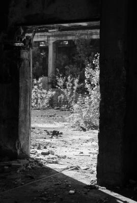 UDINE 13 06 2013 ARCHEOLOGIA INDUSTRIALE - SAFAU