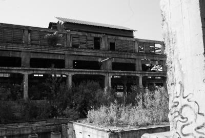 UDINE 13 06 2013 ARCHEOLOGIA INDUSTRIALE - SAFAU