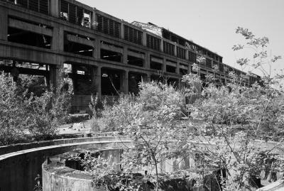 UDINE 13 06 2013 ARCHEOLOGIA INDUSTRIALE - SAFAU