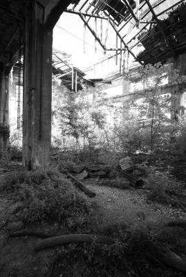 UDINE 13 06 2013 ARCHEOLOGIA INDUSTRIALE - SAFAU