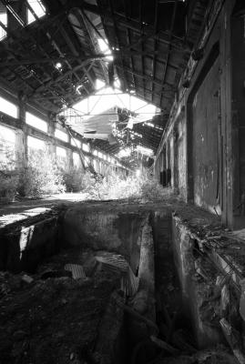 UDINE 13 06 2013 ARCHEOLOGIA INDUSTRIALE - SAFAU