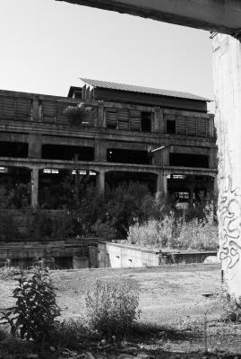 UDINE 13 06 2013 ARCHEOLOGIA INDUSTRIALE - SAFAU