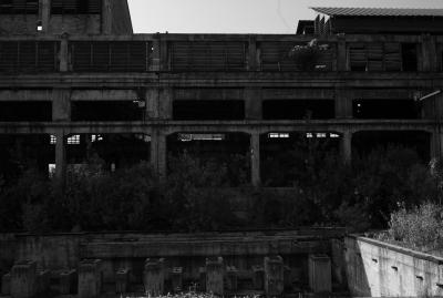 UDINE 13 06 2013 ARCHEOLOGIA INDUSTRIALE - SAFAU