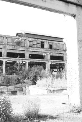 UDINE 13 06 2013 ARCHEOLOGIA INDUSTRIALE - SAFAU