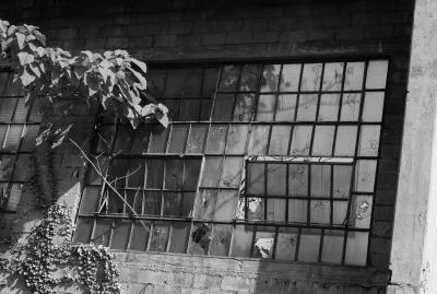 UDINE 13 06 2013 ARCHEOLOGIA INDUSTRIALE - SAFAU