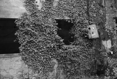 UDINE 13 06 2013 ARCHEOLOGIA INDUSTRIALE - SAFAU