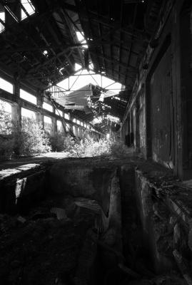 UDINE 13 06 2013 ARCHEOLOGIA INDUSTRIALE - SAFAU