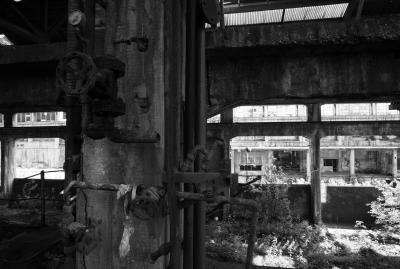 UDINE 13 06 2013 ARCHEOLOGIA INDUSTRIALE - SAFAU