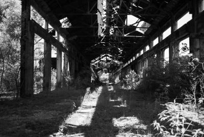 UDINE 13 06 2013 ARCHEOLOGIA INDUSTRIALE - SAFAU