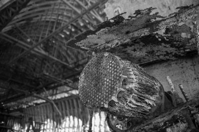 PORTOGRUARO 20 06 2013 ARCHEOLOGIA INDUSTRIALE - POLIFOSFATI