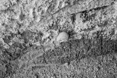TREZZE SUL BRENTA 26 07 2013 ARCHEOLOGIA INDUSTRIALE - TRICOM