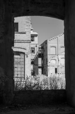 CEGGIA 31 07 2013 ARCHEOLOGIA INDUSTRIALE - ZUCCHERIFICIO ERIDANIA