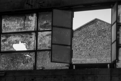 TREVISO 17 10 2013 ARCHEOLOGIA INDUSTRIALE - PAGNOSSIN