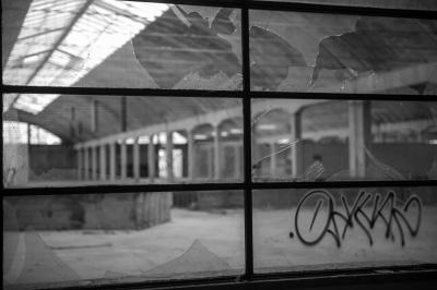 TREVISO 17 10 2013 ARCHEOLOGIA INDUSTRIALE - PAGNOSSIN