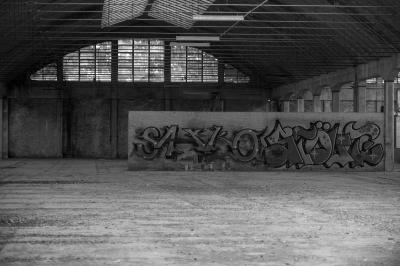 TREVISO 17 10 2013 ARCHEOLOGIA INDUSTRIALE - PAGNOSSIN
