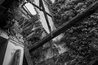 ISOLA DI POVEGLIA 15 04 2014 ARCHEOLOGIA INDUSTRIALE - OSPEDALE AL MARE