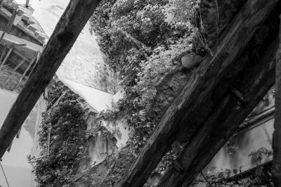 ISOLA DI POVEGLIA 15 04 2014 ARCHEOLOGIA INDUSTRIALE - OSPEDALE AL MARE