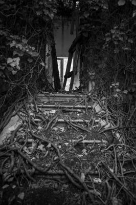 ISOLA DI POVEGLIA 15 04 2014 ARCHEOLOGIA INDUSTRIALE - OSPEDALE AL MARE