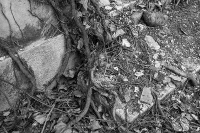 ISOLA DI POVEGLIA 15 04 2014 ARCHEOLOGIA INDUSTRIALE - OSPEDALE AL MARE