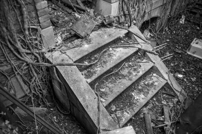 ISOLA DI POVEGLIA 15 04 2014 ARCHEOLOGIA INDUSTRIALE - OSPEDALE AL MARE