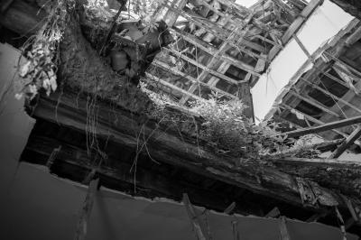 ISOLA DI POVEGLIA 15 04 2014 ARCHEOLOGIA INDUSTRIALE - OSPEDALE AL MARE