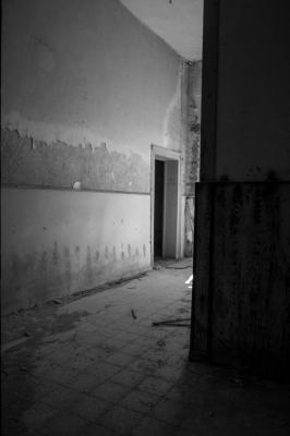 ISOLA DI POVEGLIA 15 04 2014 ARCHEOLOGIA INDUSTRIALE - OSPEDALE AL MARE