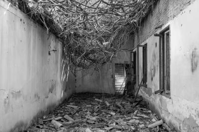 ISOLA DI POVEGLIA 15 04 2014 ARCHEOLOGIA INDUSTRIALE - OSPEDALE AL MARE