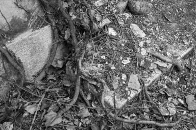 ISOLA DI POVEGLIA 15 04 2014 ARCHEOLOGIA INDUSTRIALE - OSPEDALE AL MARE
