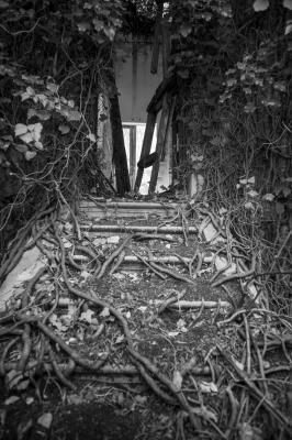 ISOLA DI POVEGLIA 15 04 2014 ARCHEOLOGIA INDUSTRIALE - OSPEDALE AL MARE